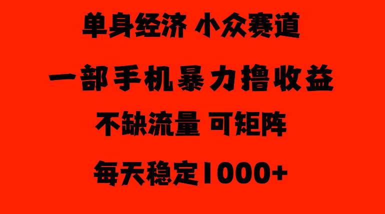 26年暴力单身经济，稳定日入500-1k，不缺流量，流量极大，冷门小众赛道，门槛低小白轻松上手【揭秘】-宣源知识学堂