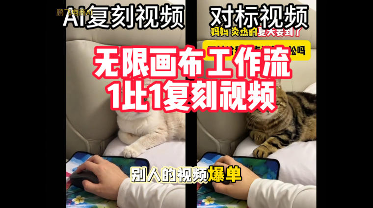 宠物带货视频复刻，无限画布工作流1比1，不用拍摄、不用布景、不用真人出镜，几分钟就能做出一条专业带货视频-宣源知识学堂
