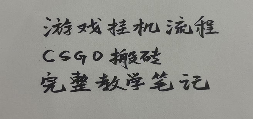 游戏挂机全流程笔记分享,CSGO游戏搬砖,小白看了当天学会见收益-宣源知识学堂