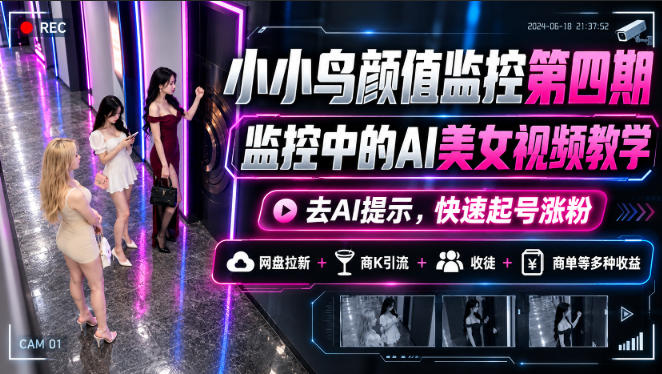 小小鸟颜值监控第四期，监控中的AI美女视频教学，去AI提示，快速起号涨粉，网盘拉新+商K引流+收徒+商单等多种收益-宣源知识学堂