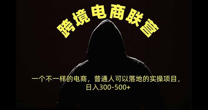跨境电商联营，一个不一样的电商，普通人可操作日入300-500+-宣源知识学堂